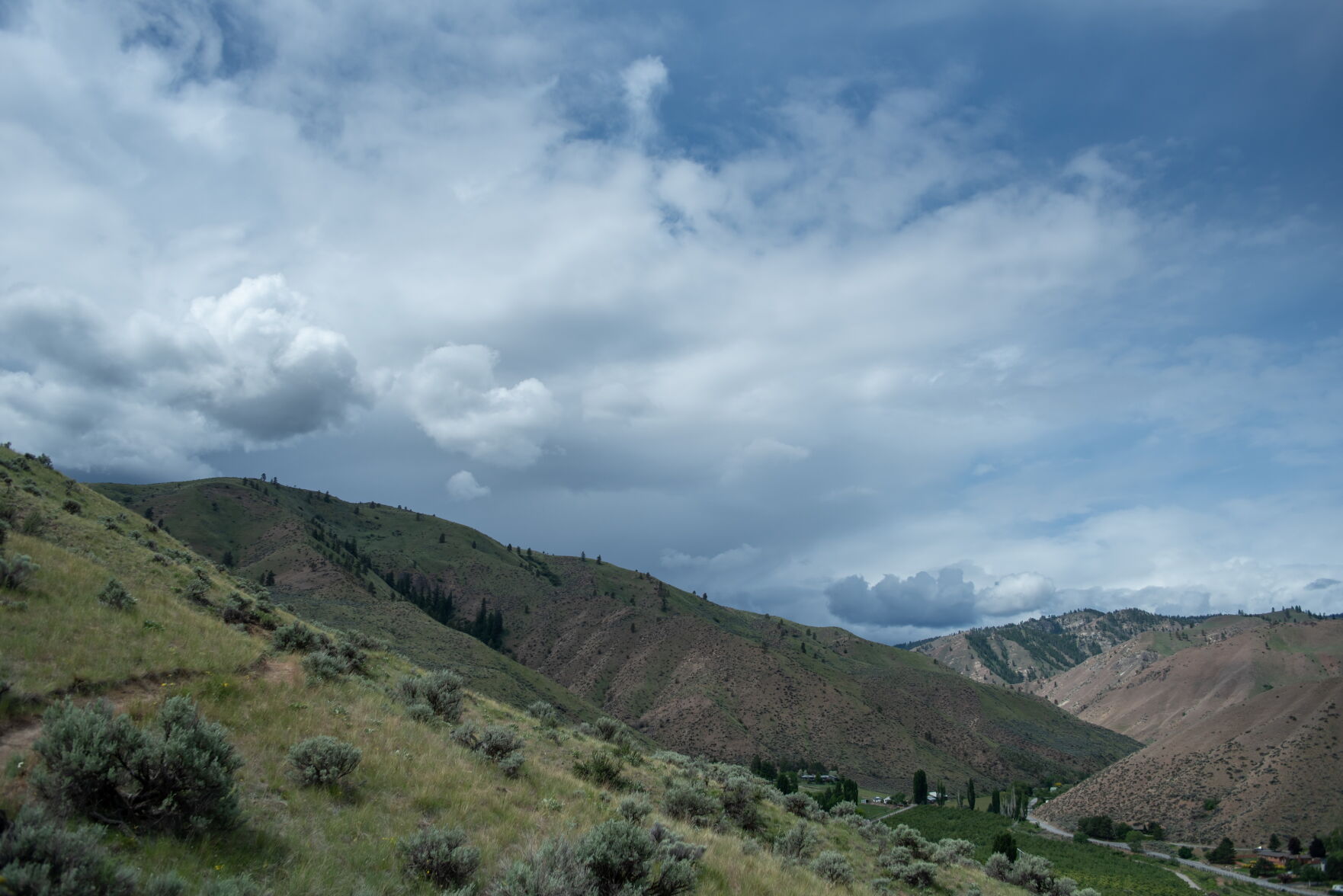 FH DSC_1871.jpg